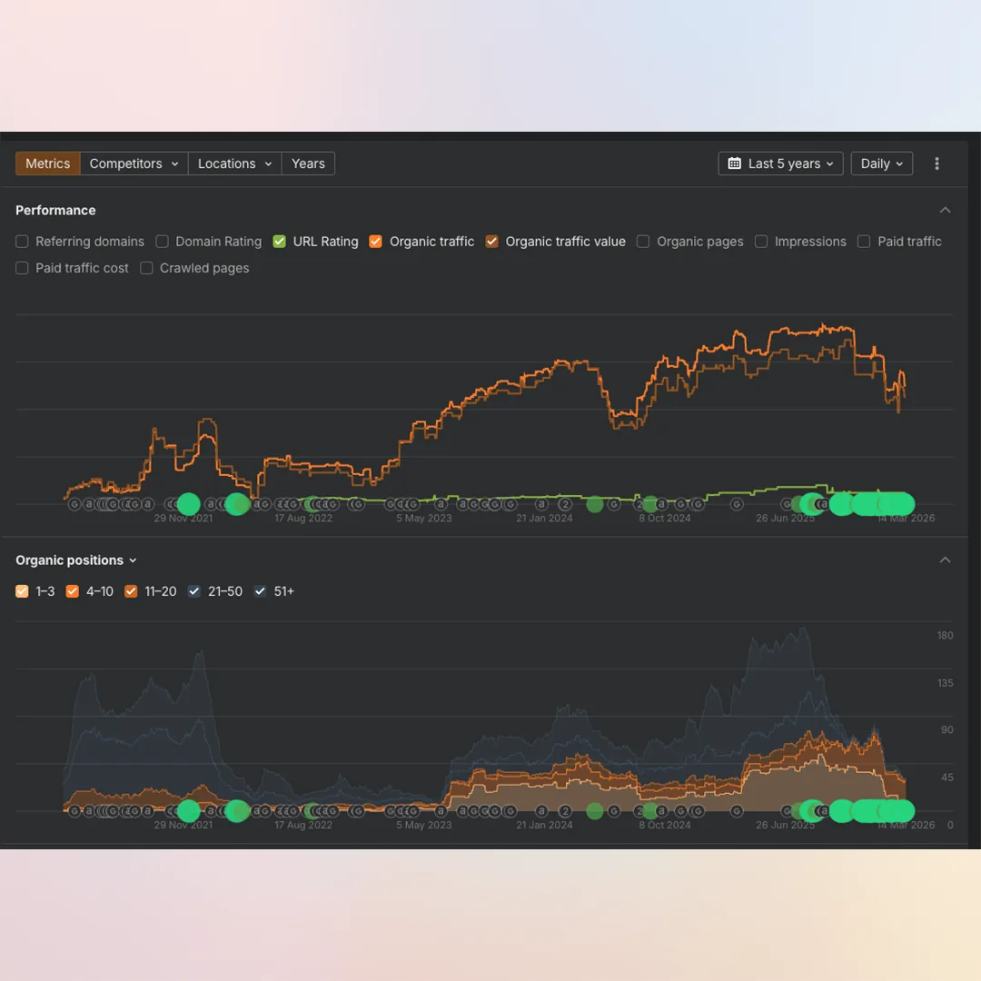 SEO report showing organic traffic and keyword position growth